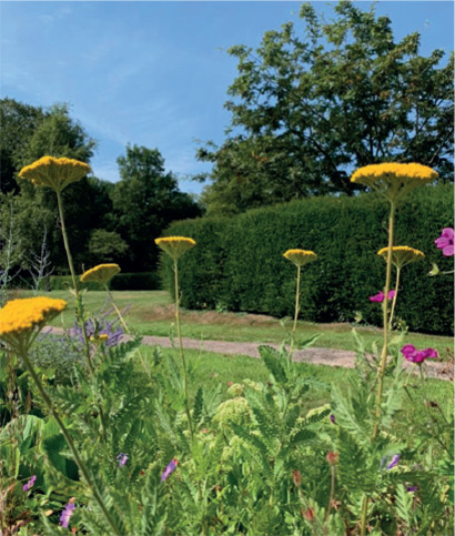 sutton veny home flowers